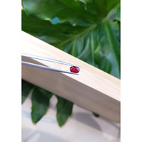 1.04 Ct. Ruby from Thailand Life Style