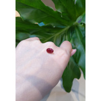 2.40 Ct. Ruby from Thailand Life Style