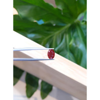 2.40 Ct. Ruby from Thailand Life Style