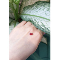 1.20 Ct. Ruby from Mozambique Life Style