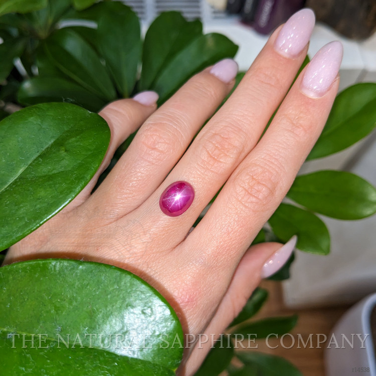 6.05 Ct. Star Ruby from Burma (Myanmar)