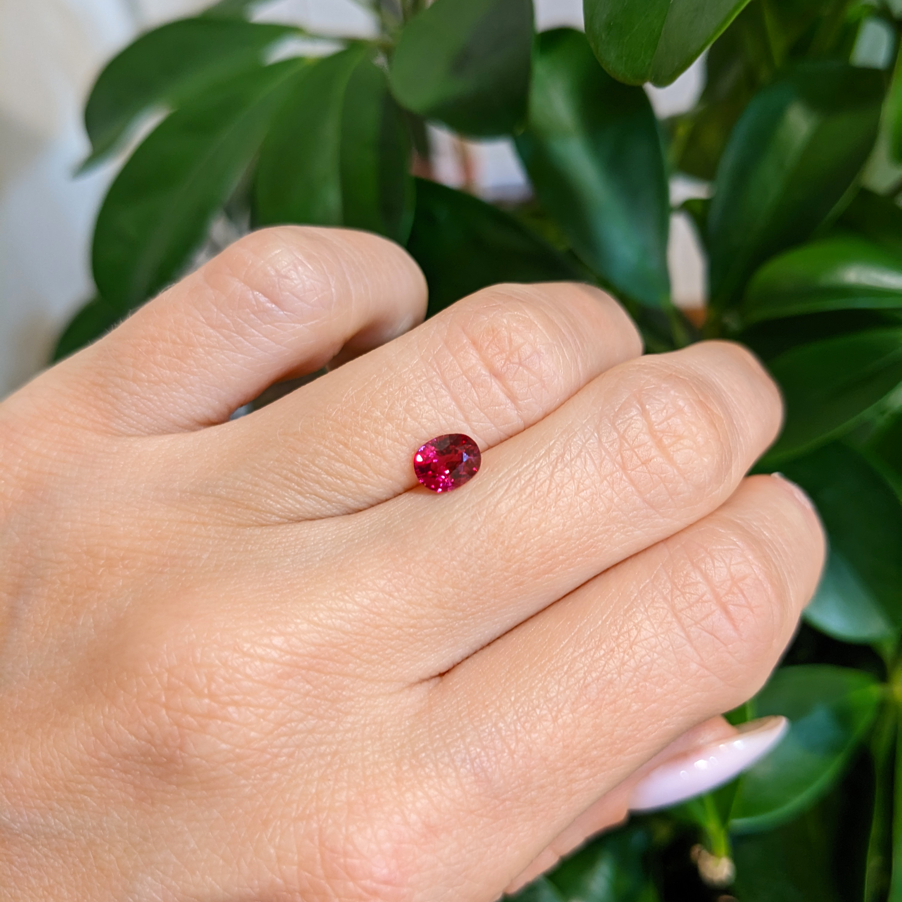 Loose Ruby - Oval 1.03 Ct. - #R14553 | The Natural Ruby Company