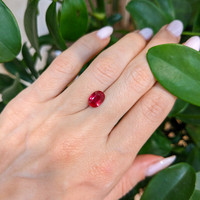1.84 Ct. Ruby from Mozambique Life Style