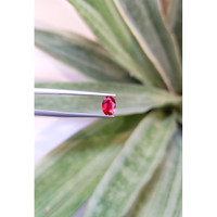 0.67 Ct. Ruby from Mozambique Life Style