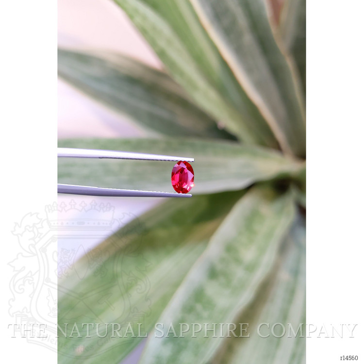 0.67 Ct. Ruby from Mozambique