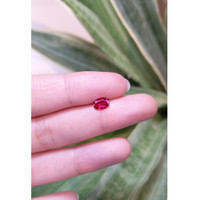 0.67 Ct. Ruby from Mozambique Life Style