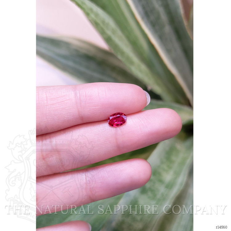 0.67 Ct. Ruby from Mozambique