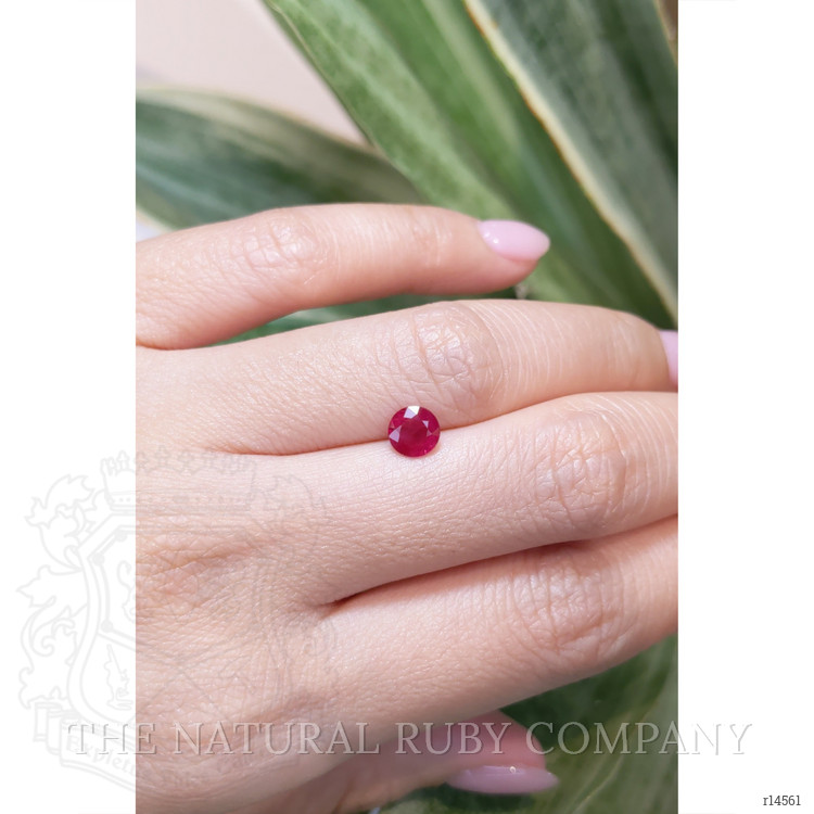 0.82 Ct. Ruby from Mozambique