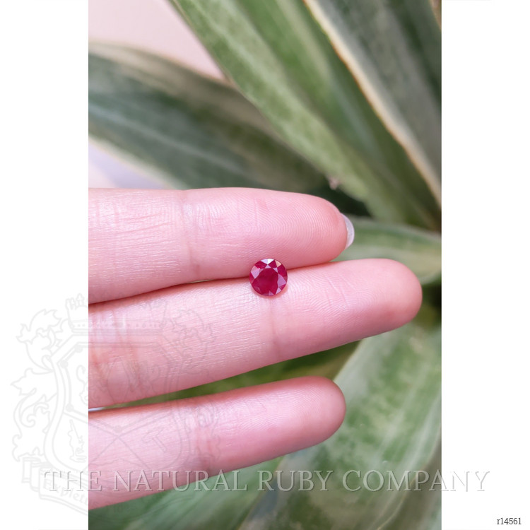 0.82 Ct. Ruby from Mozambique