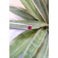 1.05 Ct. Ruby from Mozambique Life Style