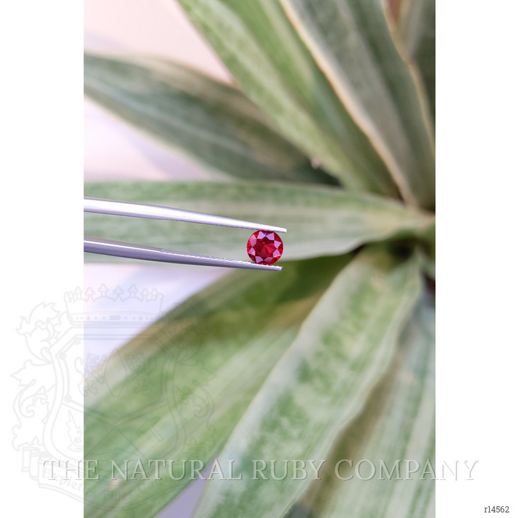 1.05 Ct. Ruby from Mozambique