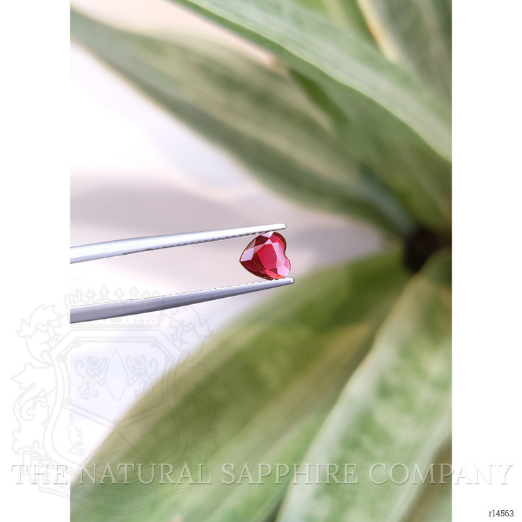 0.78 Ct. Ruby from Thailand