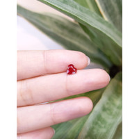 0.78 Ct. Ruby from Thailand Life Style