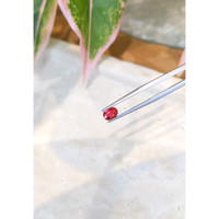 0.78 Ct. Ruby from Thailand Life Style