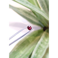 0.82 Ct. Ruby from Thailand Life Style