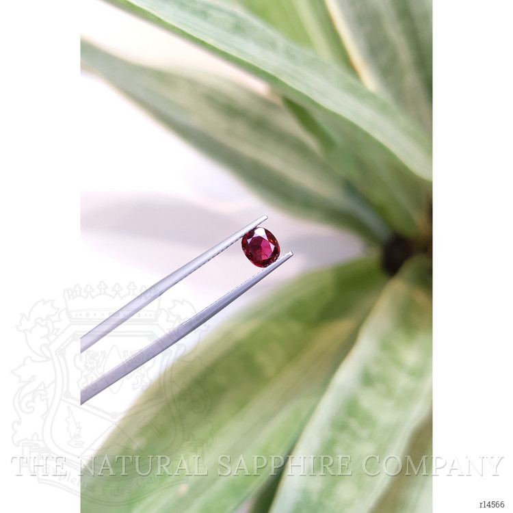 0.82 Ct. Ruby from Thailand