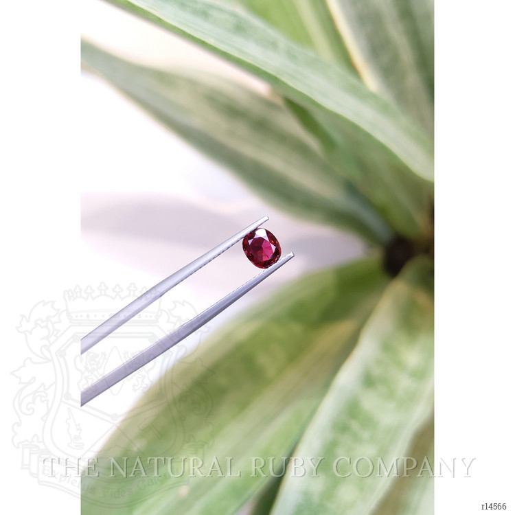 0.82 Ct. Ruby from Thailand