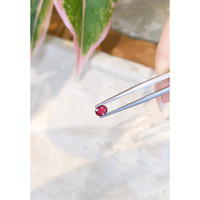 0.63 Ct. Ruby from Thailand Life Style