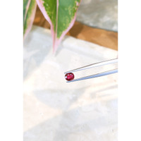0.89 Ct. Ruby from Thailand Life Style