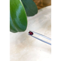 0.89 Ct. Ruby from Thailand Life Style
