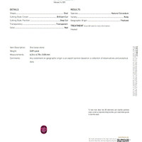 0.89 Ct. Ruby from Thailand Scan Report