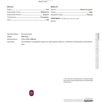 0.89 Ct. Ruby from Thailand Scan Report