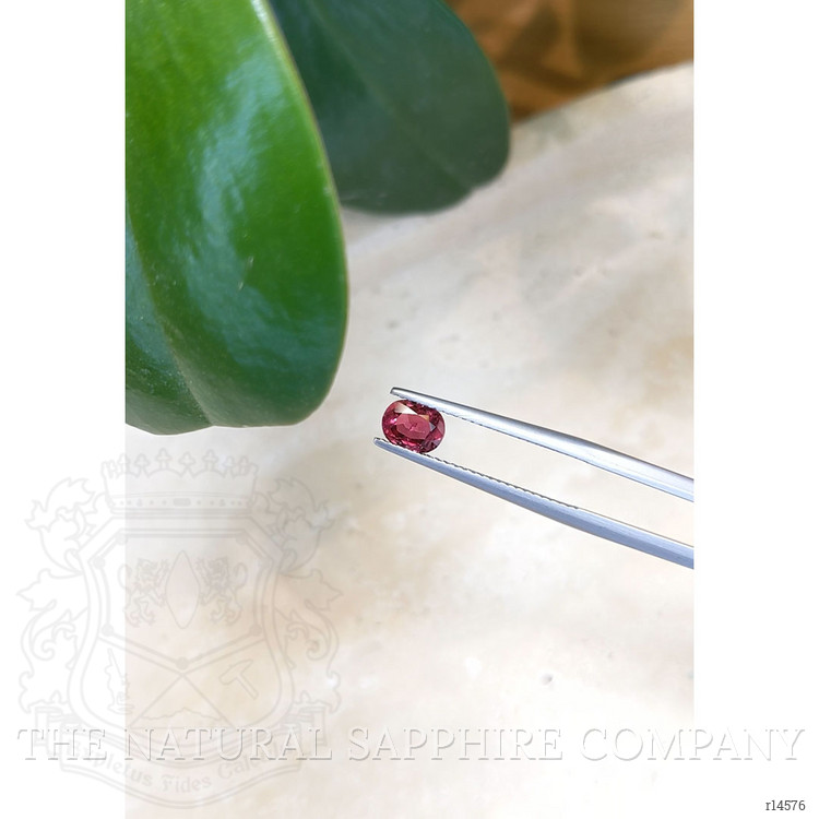 0.89 Ct. Ruby from Thailand