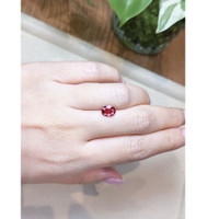 1.67 Ct. Ruby from Mozambique Life Style