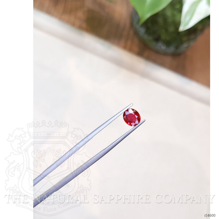 1.59 Ct. Ruby from Mozambique