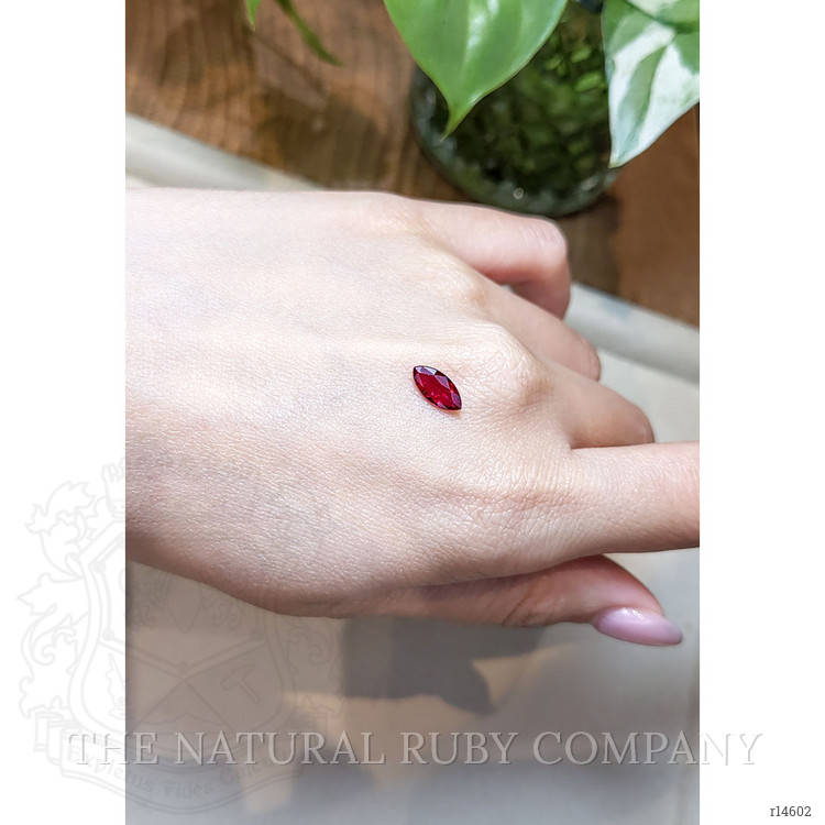 0.94 Ct. Ruby from Mozambique