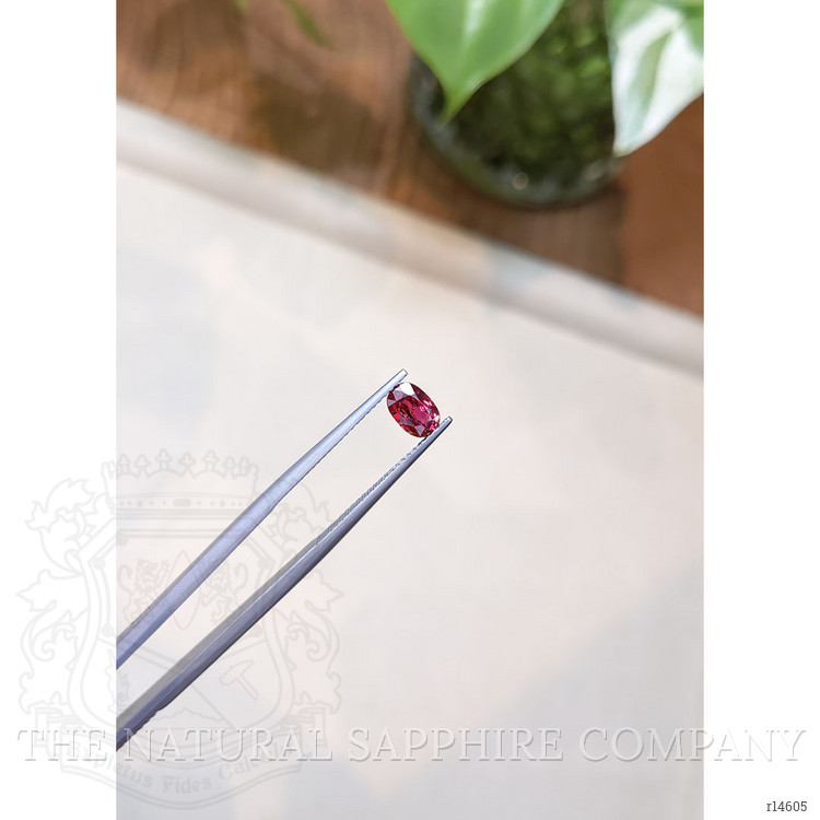 1.00 Ct. Ruby from Mozambique