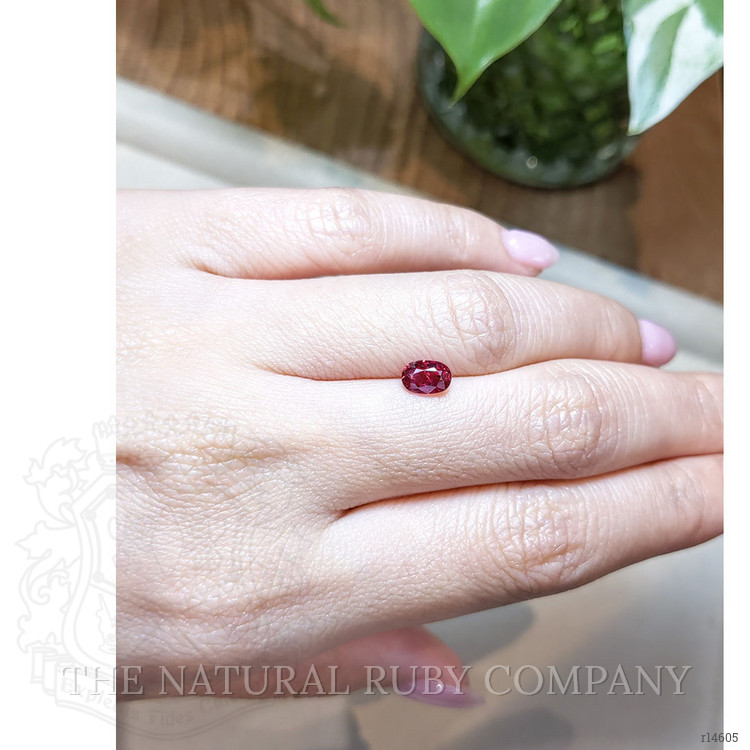 1.00 Ct. Ruby from Mozambique