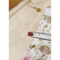 1.01 Ct. Ruby from Mozambique Life Style