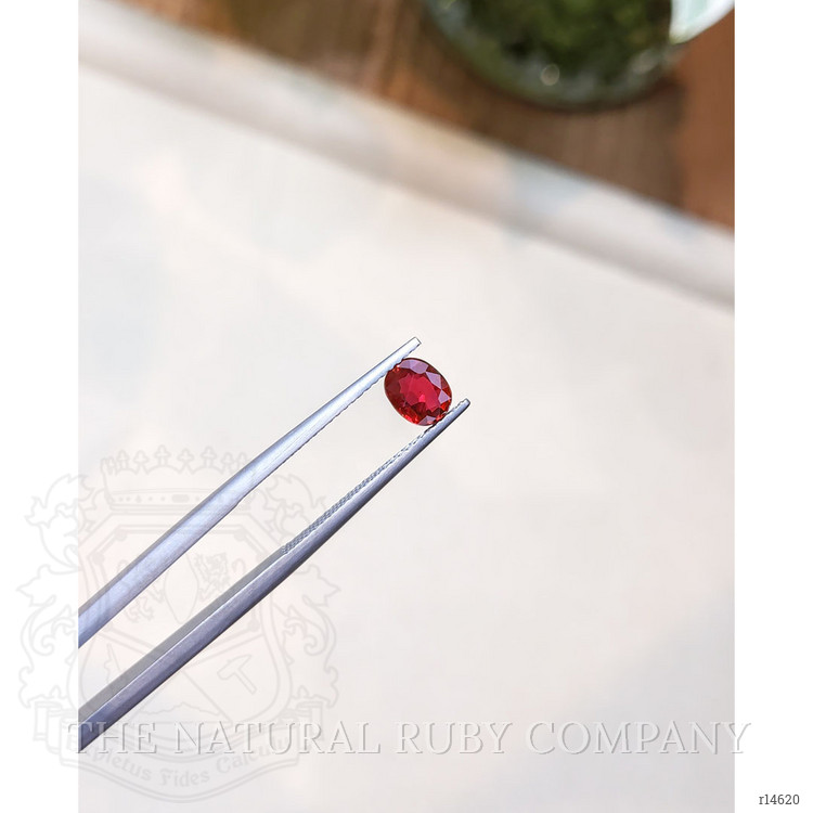 0.82 Ct. Ruby from Mozambique