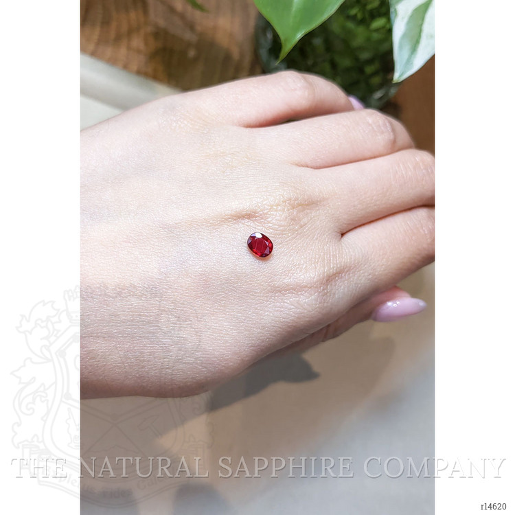 0.82 Ct. Ruby from Mozambique