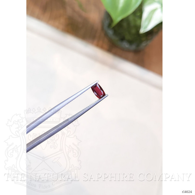 0.81 Ct. Ruby from Mozambique