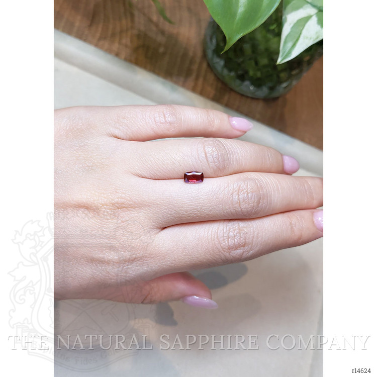 0.81 Ct. Ruby from Mozambique