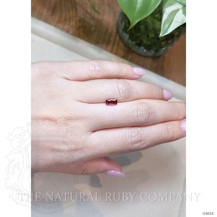 0.81 Ct. Ruby from Mozambique