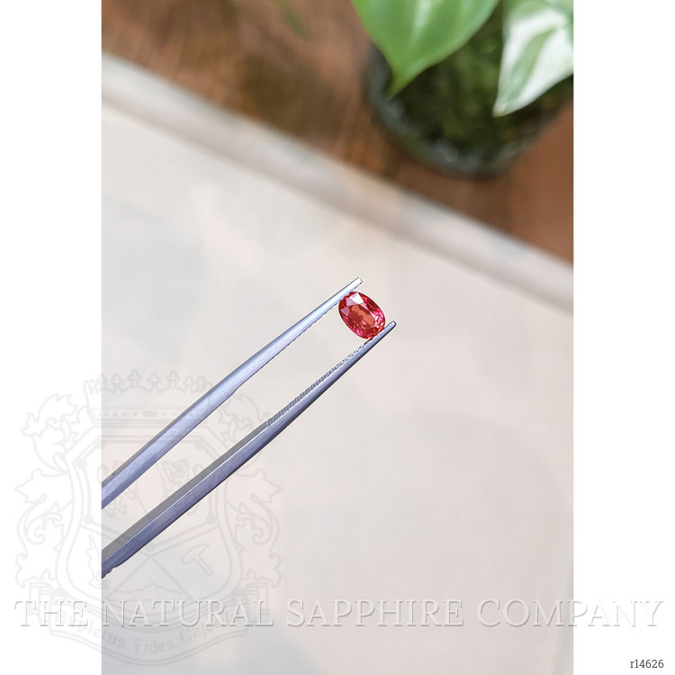 0.83 Ct. Ruby from Mozambique