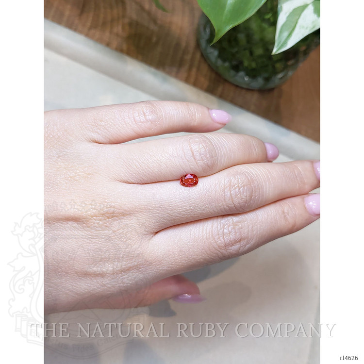 0.83 Ct. Ruby from Mozambique