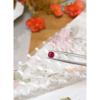 1.01 Ct. Ruby from Burma (Myanmar) Life Style