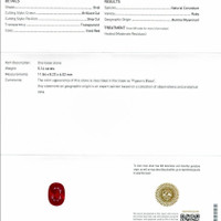 Jewelry Scan Report