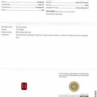 Jewelry Scan Report