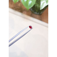 0.42 Ct. Ruby from Burma (Myanmar) Life Style