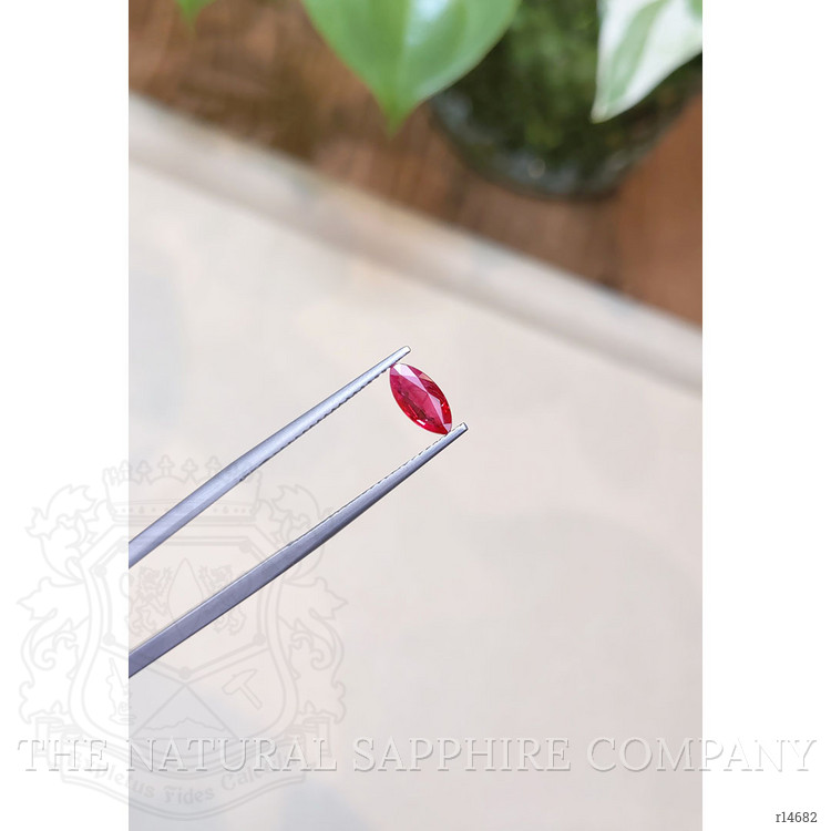 0.65 Ct. Ruby from Burma (Myanmar)