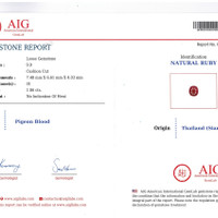 Jewelry Scan Report