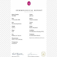Jewelry Scan Report