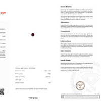 Jewelry Scan Report