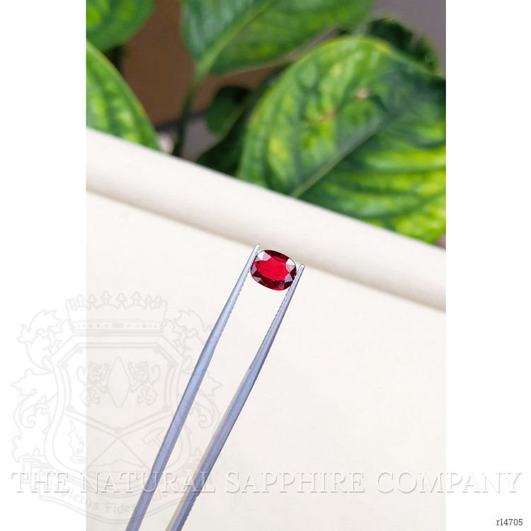 1.55 Ct. Ruby from Mozambique