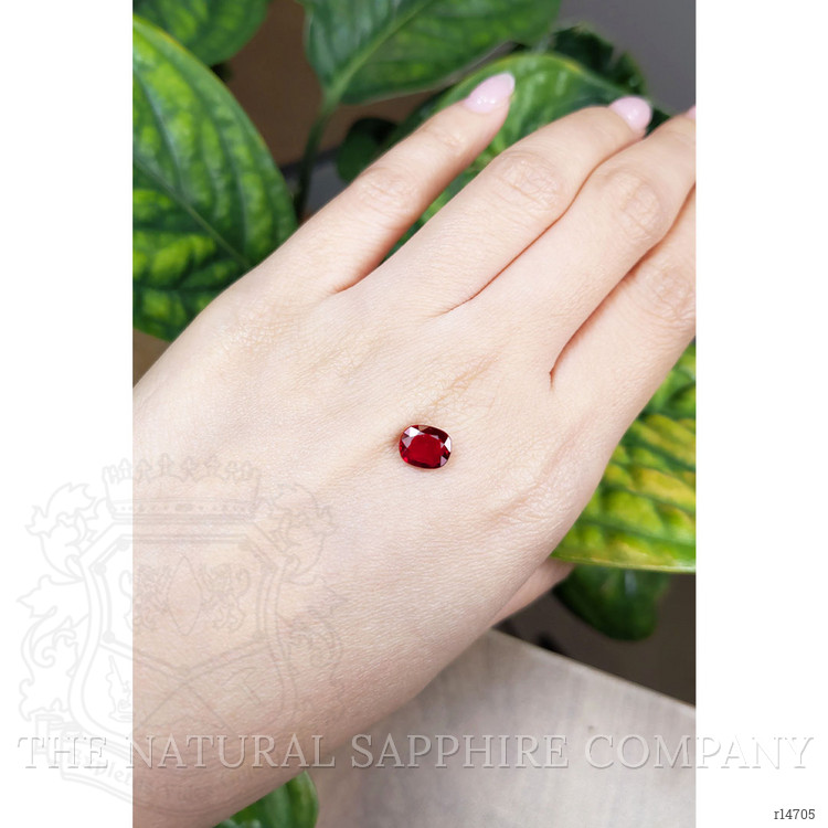 1.55 Ct. Ruby from Mozambique